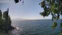 ./images/koeye/fitz-hugh/20260715/fitz-hugh20260715_145501M.jpg