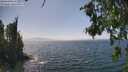 ./images/koeye/fitz-hugh/20260715/fitz-hugh20260715_150501M.jpg