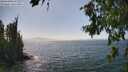 ./images/koeye/fitz-hugh/20260715/fitz-hugh20260715_151501M.jpg