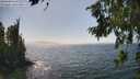 ./images/koeye/fitz-hugh/20260715/fitz-hugh20260715_152501M.jpg