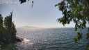 ./images/koeye/fitz-hugh/20260715/fitz-hugh20260715_153501M.jpg