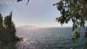 ./images/koeye/fitz-hugh/20260715/fitz-hugh20260715_154001M.jpg