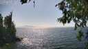 ./images/koeye/fitz-hugh/20260715/fitz-hugh20260715_160001M.jpg