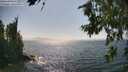 ./images/koeye/fitz-hugh/20260715/fitz-hugh20260715_160501M.jpg