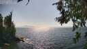 ./images/koeye/fitz-hugh/20260715/fitz-hugh20260715_162501M.jpg