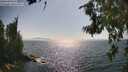 ./images/koeye/fitz-hugh/20260715/fitz-hugh20260715_164501M.jpg