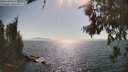 ./images/koeye/fitz-hugh/20260715/fitz-hugh20260715_165002M.jpg