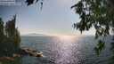 ./images/koeye/fitz-hugh/20260715/fitz-hugh20260715_171501M.jpg