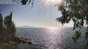./images/koeye/fitz-hugh/20260715/fitz-hugh20260715_172501M.jpg