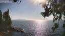 ./images/koeye/fitz-hugh/20260715/fitz-hugh20260715_173001M.jpg