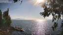 ./images/koeye/fitz-hugh/20260715/fitz-hugh20260715_174501M.jpg