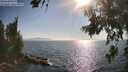 ./images/koeye/fitz-hugh/20260715/fitz-hugh20260715_175502M.jpg