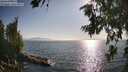 ./images/koeye/fitz-hugh/20260715/fitz-hugh20260715_182002M.jpg