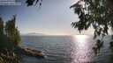 ./images/koeye/fitz-hugh/20260715/fitz-hugh20260715_182501M.jpg