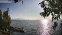 ./images/koeye/fitz-hugh/20260715/fitz-hugh20260715_183002M.jpg