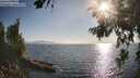 ./images/koeye/fitz-hugh/20260715/fitz-hugh20260715_184001M.jpg