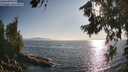 ./images/koeye/fitz-hugh/20260715/fitz-hugh20260715_185001M.jpg