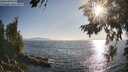 ./images/koeye/fitz-hugh/20260715/fitz-hugh20260715_185501M.jpg