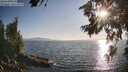 ./images/koeye/fitz-hugh/20260715/fitz-hugh20260715_191501M.jpg