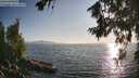 ./images/koeye/fitz-hugh/20260715/fitz-hugh20260715_192001M.jpg
