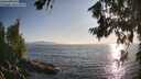 ./images/koeye/fitz-hugh/20260715/fitz-hugh20260715_192501M.jpg