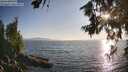 ./images/koeye/fitz-hugh/20260715/fitz-hugh20260715_193001M.jpg