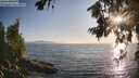 ./images/koeye/fitz-hugh/20260715/fitz-hugh20260715_194001M.jpg