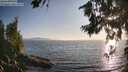 ./images/koeye/fitz-hugh/20260715/fitz-hugh20260715_194501M.jpg