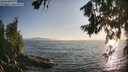 ./images/koeye/fitz-hugh/20260715/fitz-hugh20260715_195001M.jpg