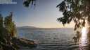 ./images/koeye/fitz-hugh/20260715/fitz-hugh20260715_202001M.jpg