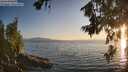 ./images/koeye/fitz-hugh/20260715/fitz-hugh20260715_204002M.jpg