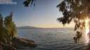 ./images/koeye/fitz-hugh/20260715/fitz-hugh20260715_204501M.jpg