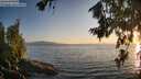 ./images/koeye/fitz-hugh/20260715/fitz-hugh20260715_205001M.jpg
