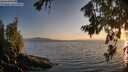 ./images/koeye/fitz-hugh/20260715/fitz-hugh20260715_205501M.jpg