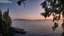 ./images/koeye/fitz-hugh/20260715/fitz-hugh20260715_214001M.jpg