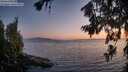 ./images/koeye/fitz-hugh/20260715/fitz-hugh20260715_214501M.jpg