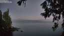 ./images/koeye/fitz-hugh/20260716/fitz-hugh20260716_045501M.jpg