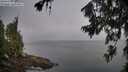 ./images/koeye/fitz-hugh/20260716/fitz-hugh20260716_064501M.jpg