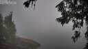 ./images/koeye/fitz-hugh/20260716/fitz-hugh20260716_084001M.jpg