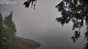 ./images/koeye/fitz-hugh/20260716/fitz-hugh20260716_085501M.jpg