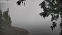 ./images/koeye/fitz-hugh/20260716/fitz-hugh20260716_095002M.jpg