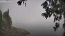 ./images/koeye/fitz-hugh/20260716/fitz-hugh20260716_103001M.jpg