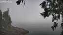 ./images/koeye/fitz-hugh/20260716/fitz-hugh20260716_103501M.jpg