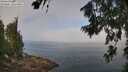 ./images/koeye/fitz-hugh/20260716/fitz-hugh20260716_110002M.jpg