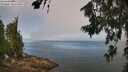 ./images/koeye/fitz-hugh/20260716/fitz-hugh20260716_112002M.jpg