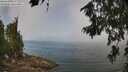 ./images/koeye/fitz-hugh/20260716/fitz-hugh20260716_113002M.jpg