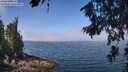 ./images/koeye/fitz-hugh/20260716/fitz-hugh20260716_113501M.jpg