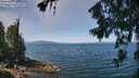 ./images/koeye/fitz-hugh/20260716/fitz-hugh20260716_120501M.jpg
