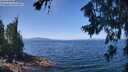 ./images/koeye/fitz-hugh/20260716/fitz-hugh20260716_121001M.jpg