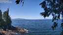 ./images/koeye/fitz-hugh/20260716/fitz-hugh20260716_121501M.jpg